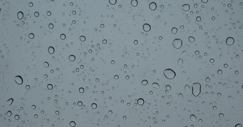 Was tun bei Regen: Diese Ausflugsziele Dresden retten Ihren Tag