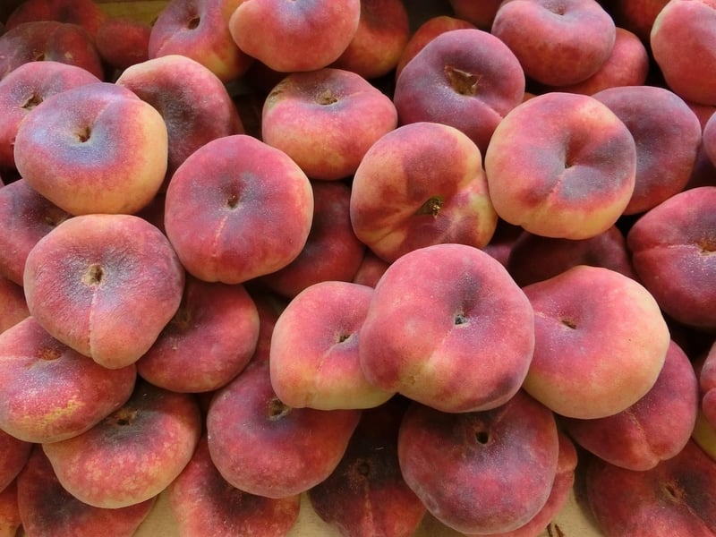 Welche Vitamine brauche ich während der Schwangerschaft?