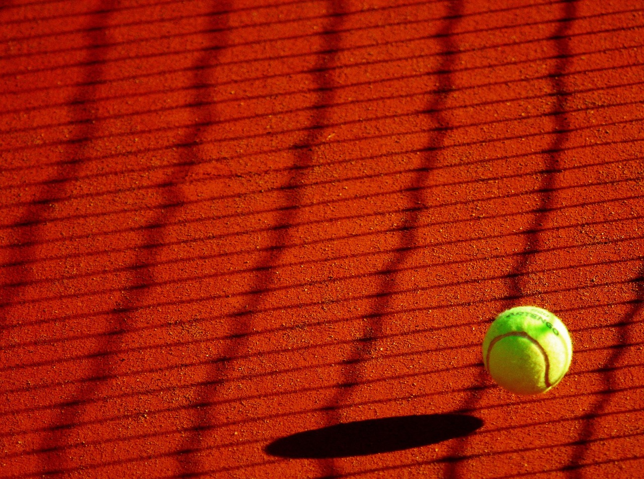 entdecken sie die aufregende welt des sports! von fußball und basketball bis zu schwimmen und fitness – erfahren sie alles über die neuesten nachrichten, trainings tipps und sportevents.