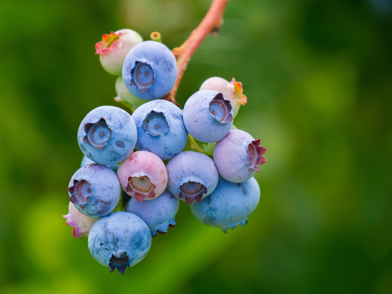 entdecken sie die besten vitamine für ihre gesundheit! stärken sie ihr immunsystem, steigern sie ihre energie und fördern sie ihr wohlbefinden mit hochwertigen nahrungsergänzungsmitteln. finden sie die perfekten vitamine für ihren lebensstil!